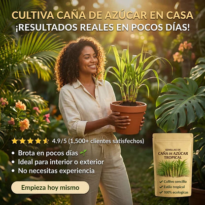 SugarSeed™ — Tu Propia Caña de Azúcar Tropical y Fresca en Casa