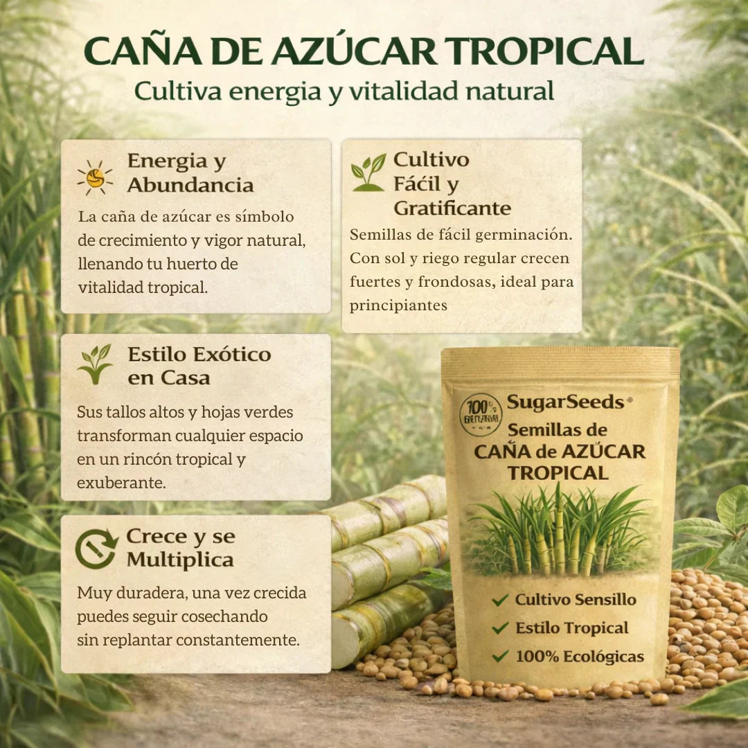 SugarSeed™ — Tu Propia Caña de Azúcar Tropical y Fresca en Casa