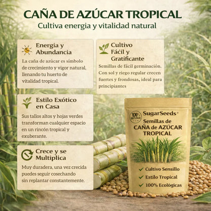 SugarSeed™ — Tu Propia Caña de Azúcar Tropical y Fresca en Casa